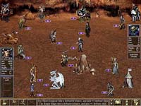 Heroes Chronicles...are you excited?