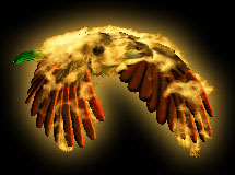 Answerbird - the Thunderbird's no-so-distant cousin